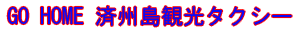 済州島観光タクシーホームで